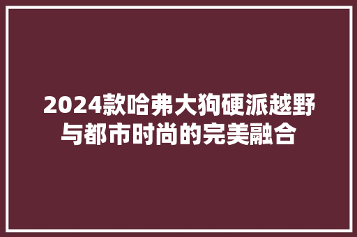 2024款哈弗大狗硬派越野与都市时尚的完美融合