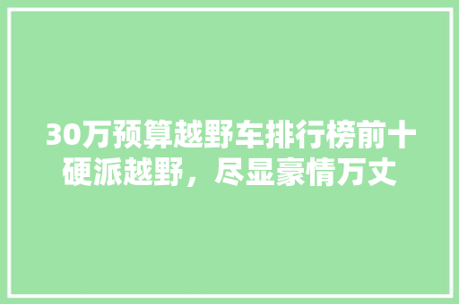 30万预算越野车排行榜前十硬派越野，尽显豪情万丈