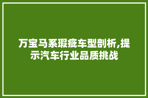万宝马系瑕疵车型剖析,提示汽车行业品质挑战
