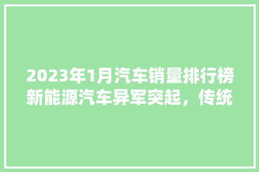 2023年1月汽车销量排行榜新能源汽车异军突起，传统车企面临挑战