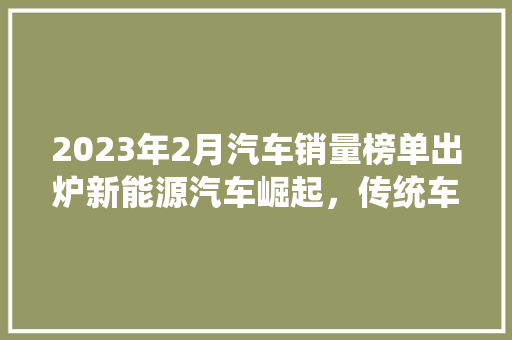 2023年2月汽车销量榜单出炉新能源汽车崛起，传统车企面临挑战