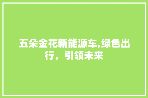 五朵金花新能源车,绿色出行，引领未来