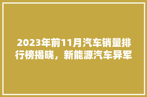 2023年前11月汽车销量排行榜揭晓，新能源汽车异军突起，传统燃油车市场再迎挑战