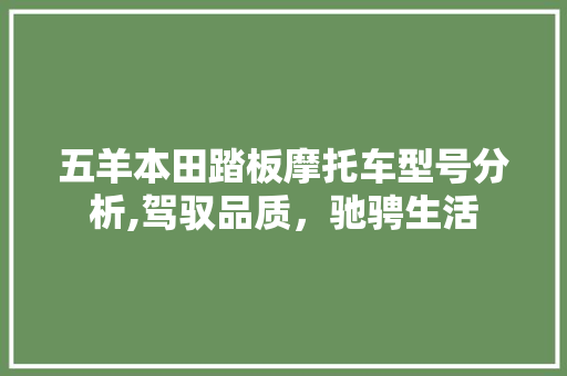 五羊本田踏板摩托车型号分析,驾驭品质，驰骋生活
