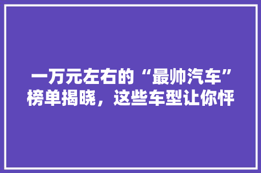 一万元左右的“最帅汽车”榜单揭晓，这些车型让你怦然心动！ 混合动力车