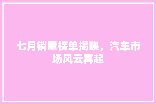 七月销量榜单揭晓，汽车市场风云再起
