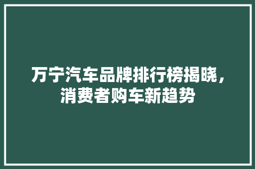 万宁汽车品牌排行榜揭晓，消费者购车新趋势