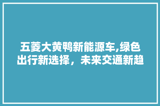 五菱大黄鸭新能源车,绿色出行新选择，未来交通新趋势