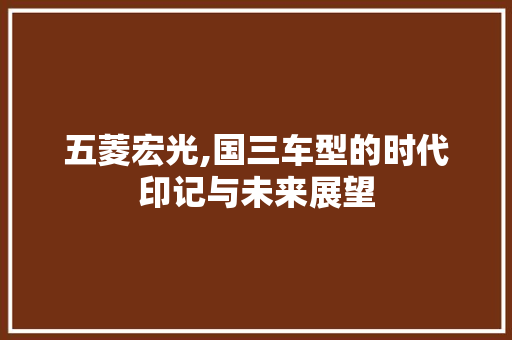 五菱宏光,国三车型的时代印记与未来展望