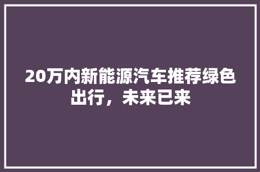20万内新能源汽车推荐绿色出行，未来已来