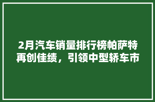 2月汽车销量排行榜帕萨特再创佳绩，引领中型轿车市场新潮流