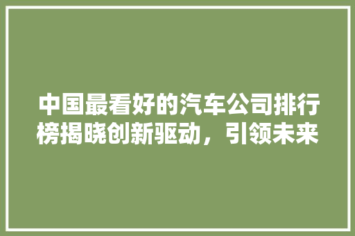 中国最看好的汽车公司排行榜揭晓创新驱动，引领未来