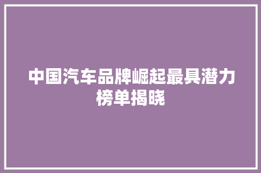 中国汽车品牌崛起最具潜力榜单揭晓