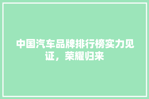 中国汽车品牌排行榜实力见证，荣耀归来