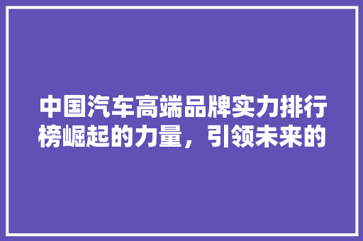 中国汽车高端品牌实力排行榜崛起的力量，引领未来的航向