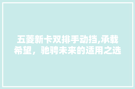 五菱新卡双排手动挡,承载希望，驰骋未来的适用之选
