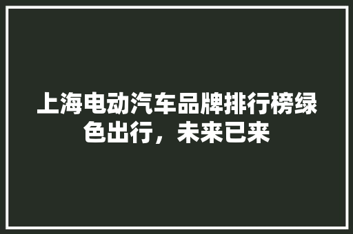 上海电动汽车品牌排行榜绿色出行，未来已来