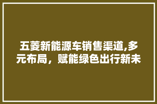 五菱新能源车销售渠道,多元布局，赋能绿色出行新未来