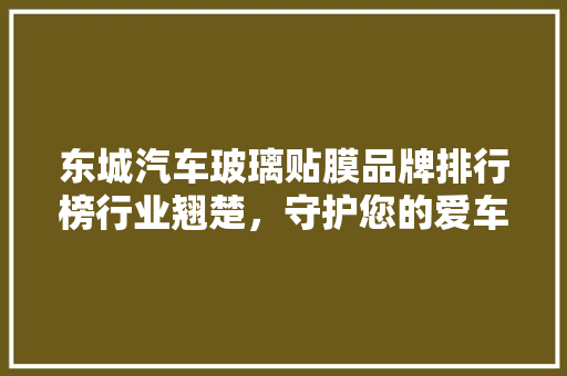 东城汽车玻璃贴膜品牌排行榜行业翘楚，守护您的爱车安全与舒适