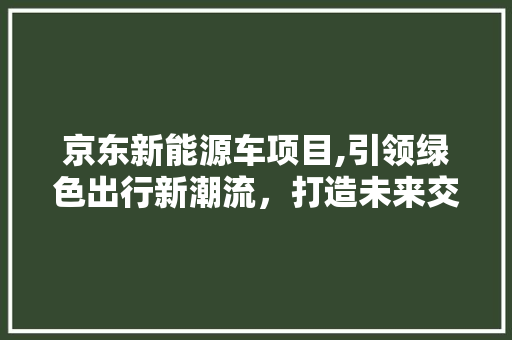 京东新能源车项目,引领绿色出行新潮流，打造未来交通新生态