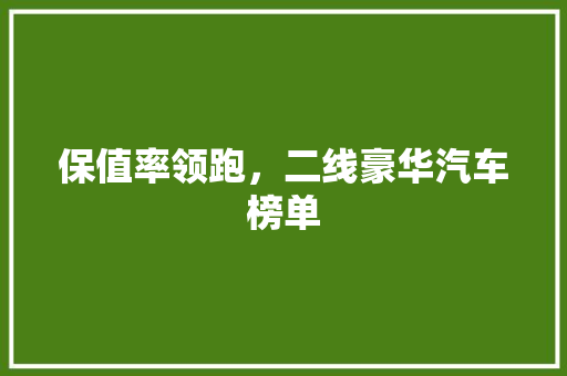 保值率领跑，二线豪华汽车榜单