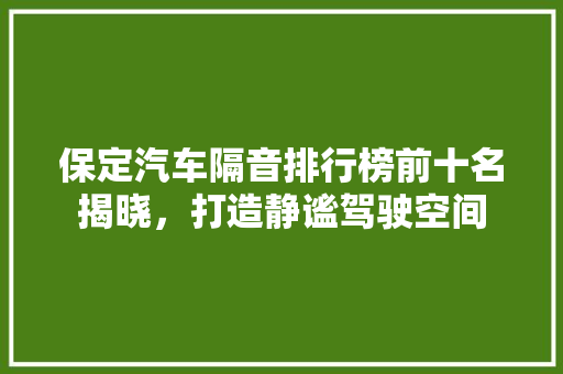 保定汽车隔音排行榜前十名揭晓，打造静谧驾驶空间