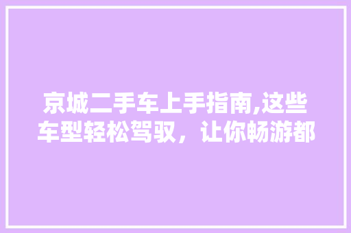 京城二手车上手指南,这些车型轻松驾驭，让你畅游都市