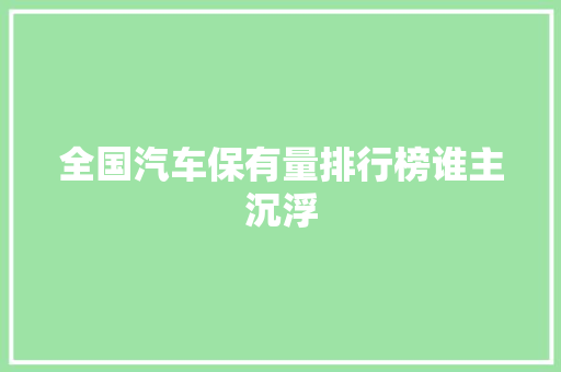 全国汽车保有量排行榜谁主沉浮