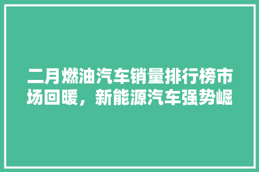 二月燃油汽车销量排行榜市场回暖，新能源汽车强势崛起