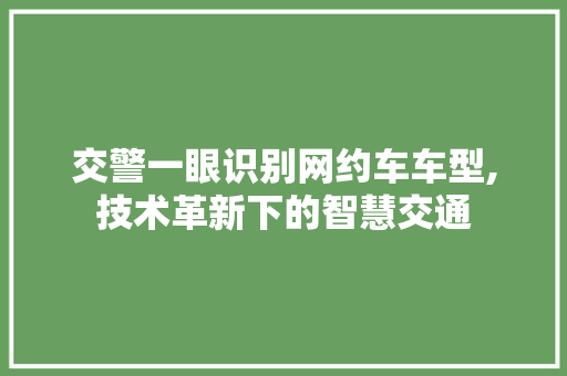 交警一眼识别网约车车型,技术革新下的智慧交通