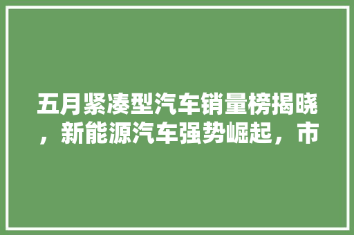 五月紧凑型汽车销量榜揭晓，新能源汽车强势崛起，市场格局悄然改变