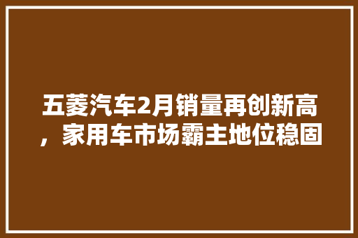 五菱汽车2月销量再创新高，家用车市场霸主地位稳固