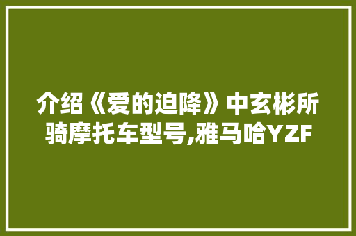 介绍《爱的迫降》中玄彬所骑摩托车型号,雅马哈YZF-R1，演绎速度与激情的完美结合