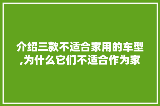 介绍三款不适合家用的车型,为什么它们不适合作为家庭用车 车型评测