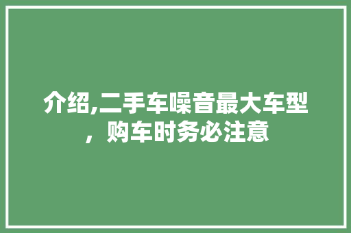 介绍,二手车噪音最大车型，购车时务必注意