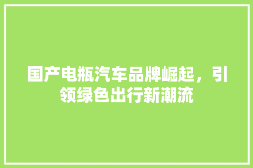 国产电瓶汽车品牌崛起，引领绿色出行新潮流