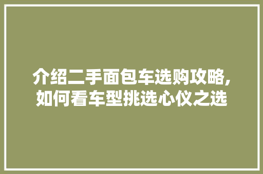 介绍二手面包车选购攻略,如何看车型挑选心仪之选