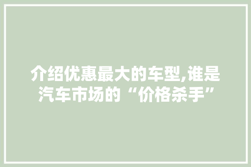 介绍优惠最大的车型,谁是汽车市场的“价格杀手”