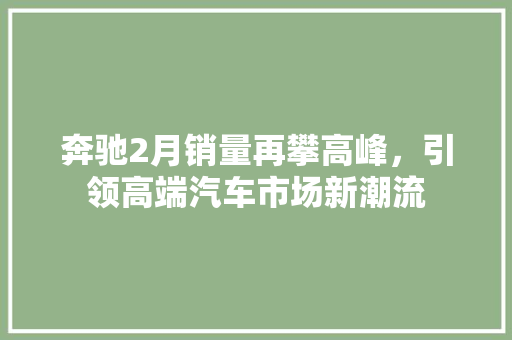 奔驰2月销量再攀高峰，引领高端汽车市场新潮流