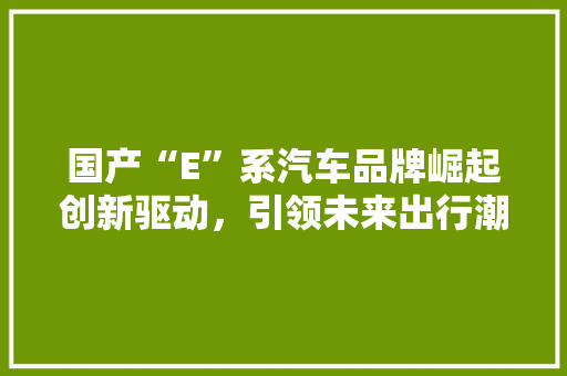 国产“E”系汽车品牌崛起创新驱动，引领未来出行潮流