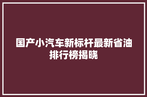 国产小汽车新标杆最新省油排行榜揭晓