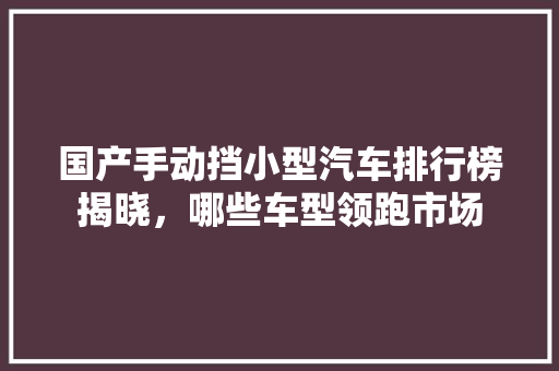 国产手动挡小型汽车排行榜揭晓，哪些车型领跑市场