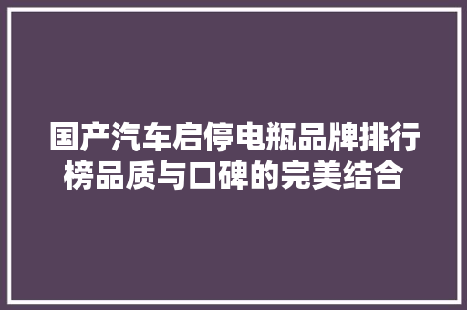 国产汽车启停电瓶品牌排行榜品质与口碑的完美结合 汽车轮胎