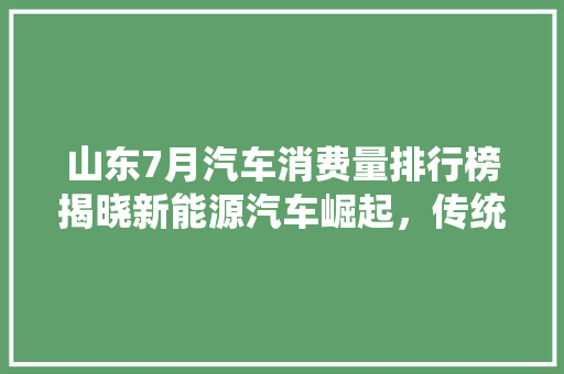 山东7月汽车消费量排行榜揭晓新能源汽车崛起，传统车型竞争加剧