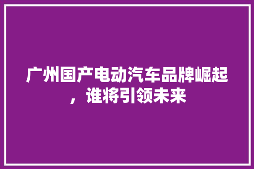 广州国产电动汽车品牌崛起，谁将引领未来