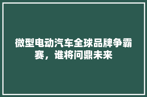 微型电动汽车全球品牌争霸赛，谁将问鼎未来