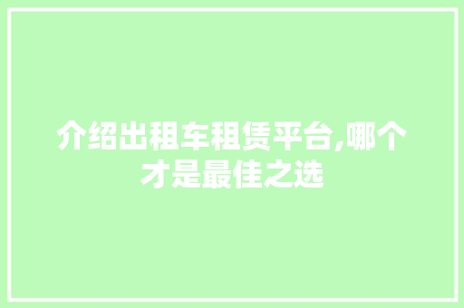 介绍出租车租赁平台,哪个才是最佳之选