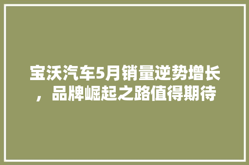 宝沃汽车5月销量逆势增长，品牌崛起之路值得期待