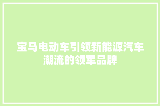 宝马电动车引领新能源汽车潮流的领军品牌