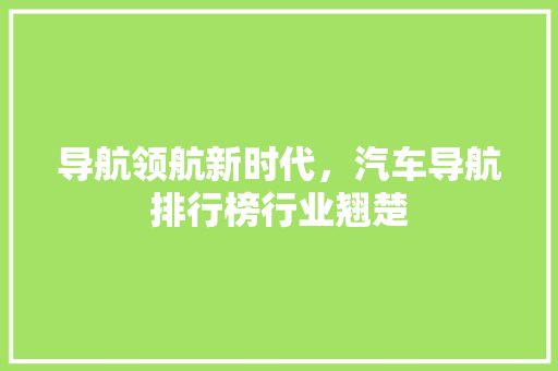 导航领航新时代，汽车导航排行榜行业翘楚